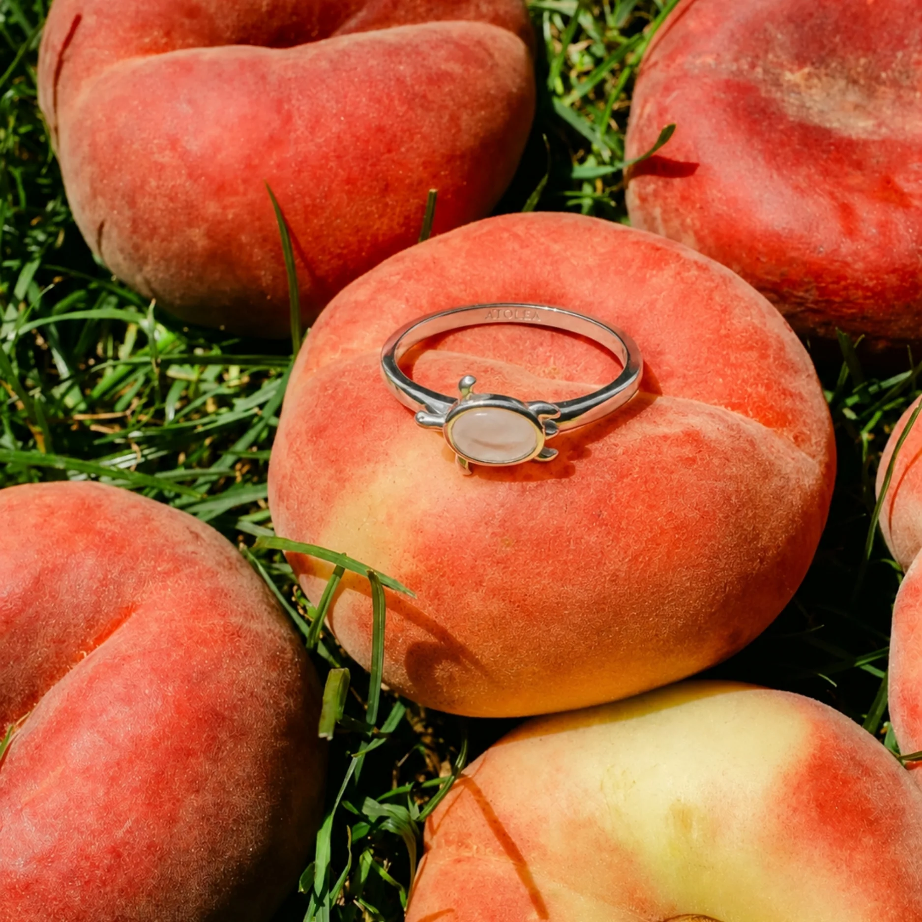 Sea Turtle Ring - Image 7